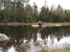 Deer Pond